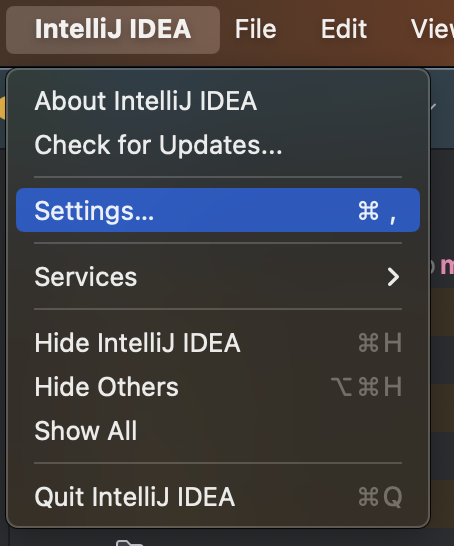 intellij_setting.png